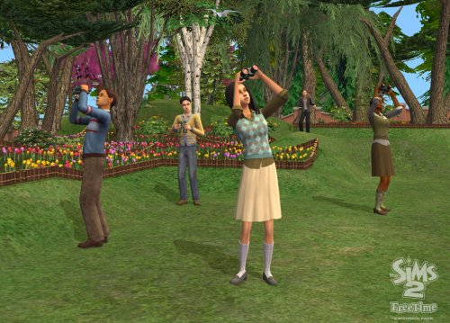 The Sims 2: FreeTime