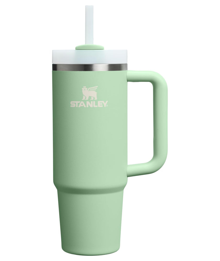 STANLEY Quencher H2.0 Tumbler with Handle and Straw 30 oz | Flowstate 3-Position Lid | Cup Holder Compatible for Travel | Insulated Stainless Steel Cup | BPA-Free | Pistachio 🍁 All In One Marketplace Canada