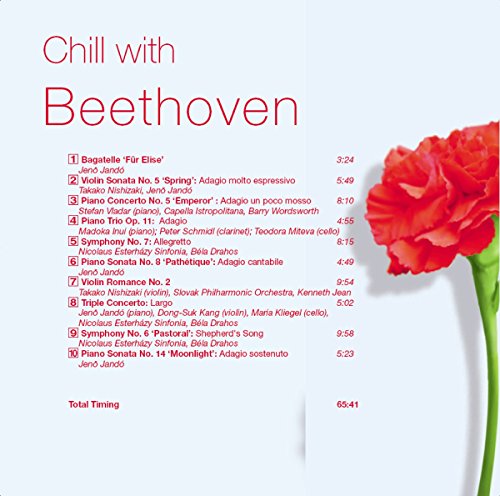 Chill With Beethoven