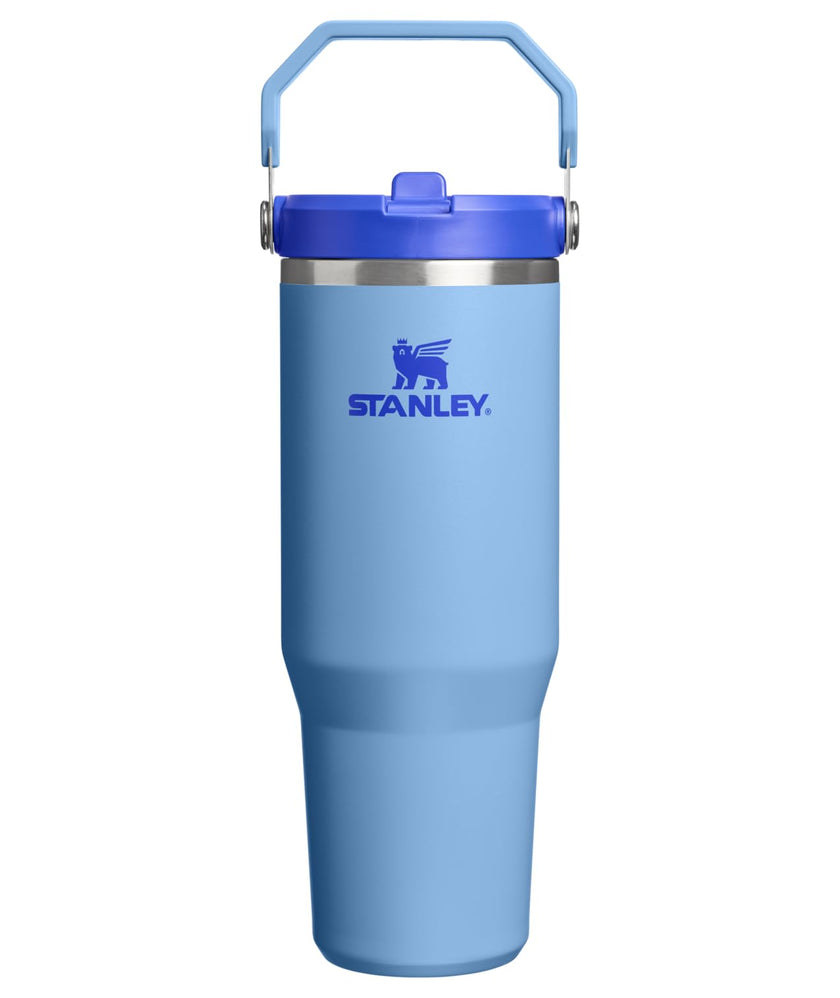 STANLEY IceFlow 2.0 Flip Straw Tumbler with Handle 30 oz | Twist On Lid and Flip Up Straw | Leakproof Water Bottle | Insulated Stainless Steel | BPA-Free | Blue Sky 🍁 All In One Marketplace Canada