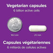 Webber Naturals Acidophilus Bifidus with FOS, 6 Billion Active Cells, 4 Probiotic Strains, 180 Capsules, For Digestive Health, Vegetarian 🍁 All In One Marketplace Canada