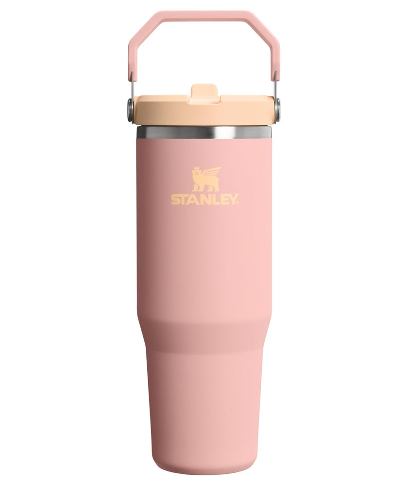 STANLEY IceFlow 2.0 Flip Straw Tumbler with Handle 20 oz | Twist On Lid and Flip Up Straw | Leak Resistant Water Bottle | Insulated Stainless Steel | BPA-Free | Peach Rose 🍁 All In One Marketplace Canada