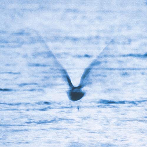 Ryo Fukui / Mellow Dream - CD
