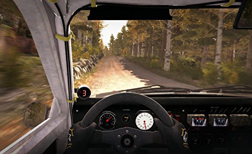 DirtRallyParent