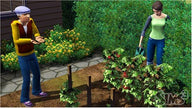 The Sims 3