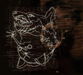 From Autumn to Ashes / Holding a Wolf By the Ears - CD