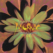 TOLLAR;MARYEM/TOLLAR - FLOWERS OF FORGIVENESS