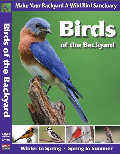 Birds of the Backyard [Import]