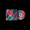 Kid Cudi / Insano - CD