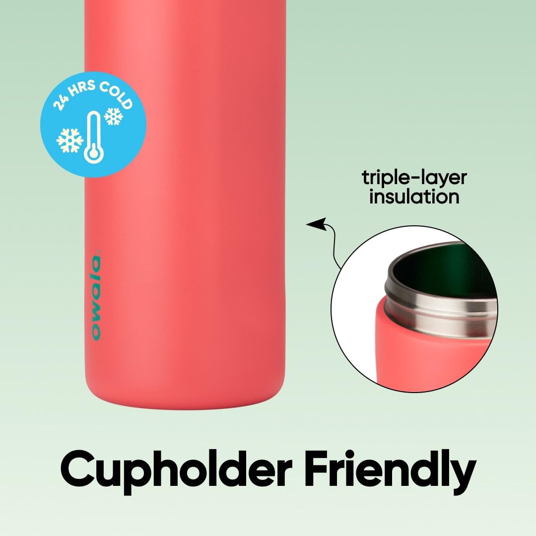 Owala FreeSip Insulated Stainless Steel Water Bottle with Straw for Sports, Travel, and School BPA-Free Sports Water Bottle, 24 oz, Strawberry Field 🍁 All In One Marketplace Canada