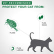 Advantage II - Flea Prevention - Small Cats - Vet Recommended - 6-pack 🍁 All In One Marketplace Canada