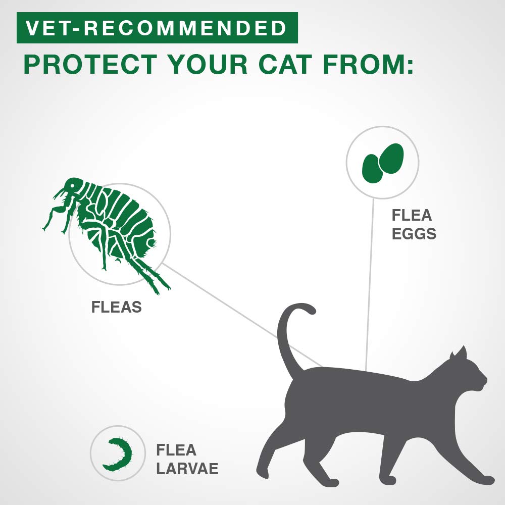 Advantage II - Flea Prevention - Small Cats - Vet Recommended - 6-pack 🍁 All In One Marketplace Canada