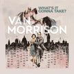 Van Morrison / What's It Gonna Take? - CD