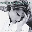 Ricky Martin / A Medio Vivir - CD (Used)