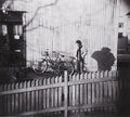 Leif Vollebekk / Insland - CD (Used)