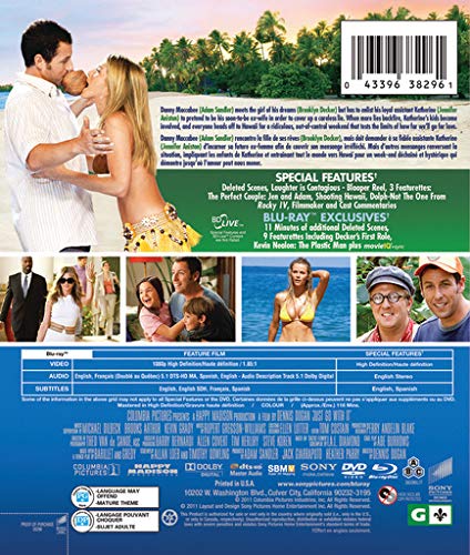Just Go With It / Mêchant menteur (Bilingual) - DVD (Used)