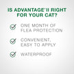 Advantage II - Flea Prevention - Small Cats - Vet Recommended - 6-pack 🍁 All In One Marketplace Canada