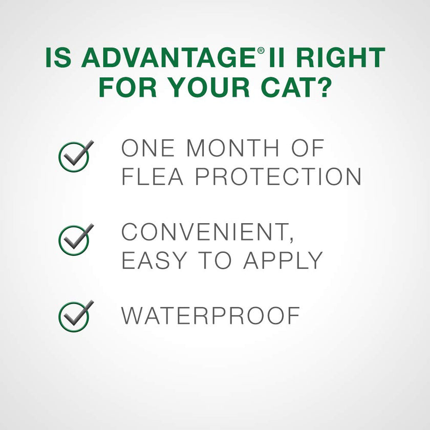 Advantage II - Flea Prevention - Small Cats - Vet Recommended - 6-pack 🍁 All In One Marketplace Canada