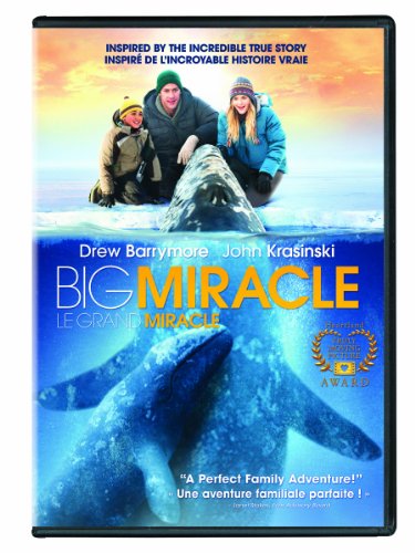 Big Miracle - DVD (Used)