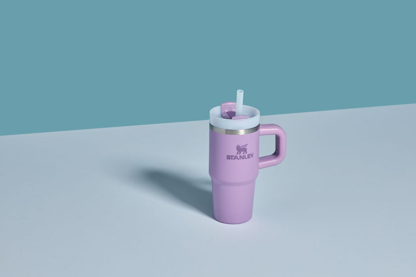 Stanley Quencher H2.0 Tumbler with Handle and Straw 20 oz Flowstate 3-Position Lid Cup Holder Compatible for Travel Insulated Stainless Steel Cup BPA-Free Lilac 🍁 All In One Marketplace Canada