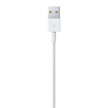 Apple Lightning to USB Cable (1m) 🍁 All In One Marketplace Canada