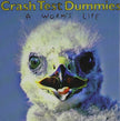 Crash test dummies / A Worm'S Life - CD (Used)