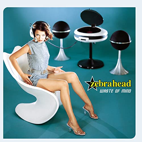 Zebrahead / Waste of Mind - CD (Used)