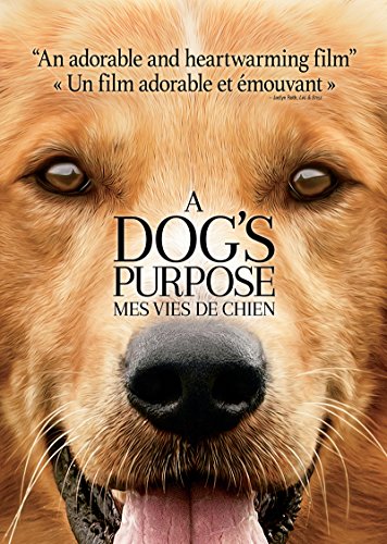 A Dog’s Purpose - DVD (Used)