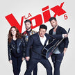 Variés / La Voix 5 - CD (Used)