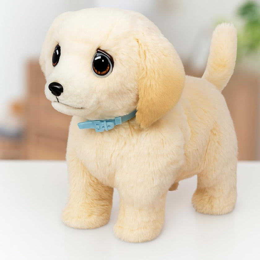 Little Live Pets Ouchies - Cooper The Retriever Puppy|Transform from Injured to Healed Like a Vet. Make a Real Cast. Walking Puppy with Carrier (35cm/13.8in Tall). Repeat Play. 50+ Sounds & Reactions 🍁 All In One Marketplace Canada