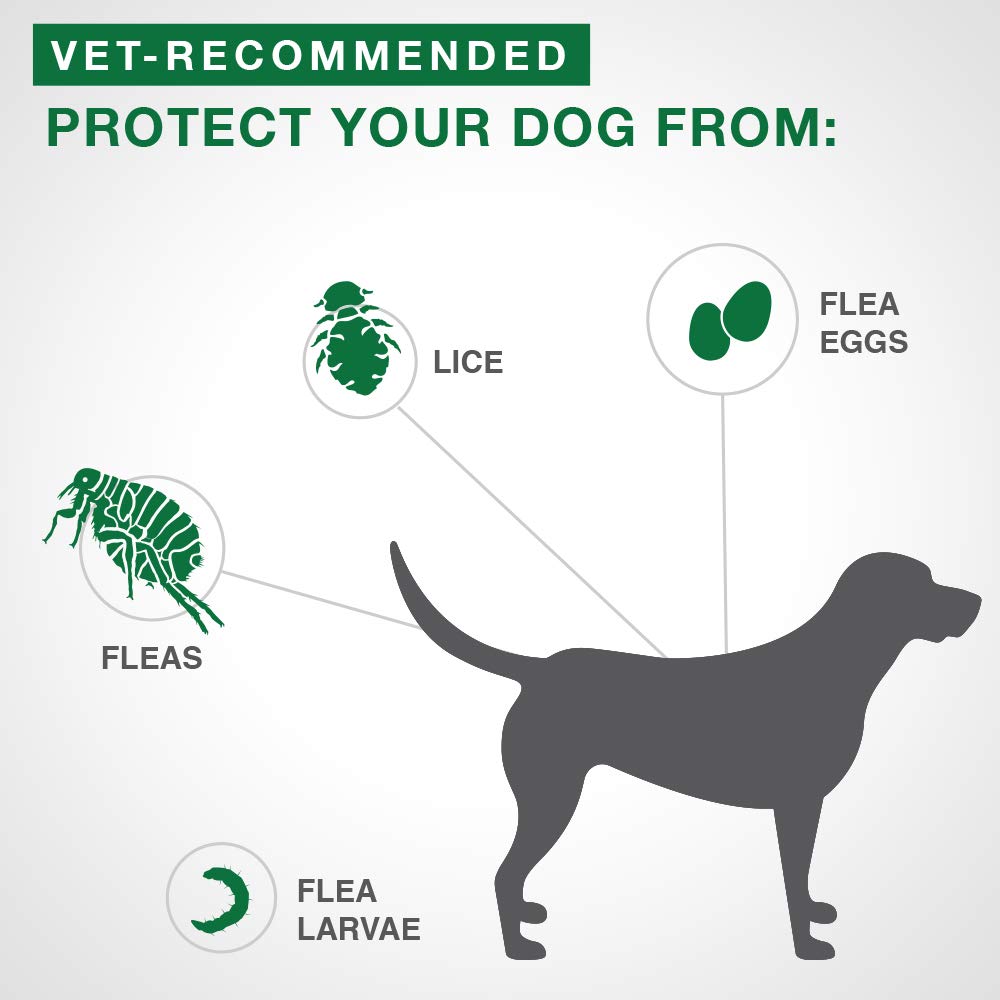 Advantage II - Flea Protection - XL Dogs - Vet Recommended - 2-pack 🍁 All In One Marketplace Canada
