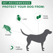 Advantage II - Flea Protection - Large Dog - Vet Recommended - 2-pack 🍁 All In One Marketplace Canada