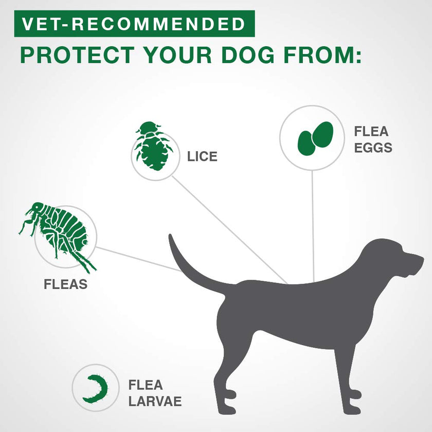 Advantage II - Flea Protection - Large Dog - Vet Recommended - 2-pack 🍁 All In One Marketplace Canada