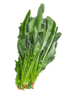 Spinach (Palak)