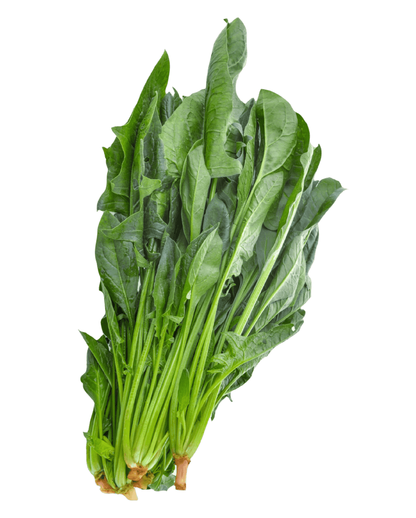 Spinach (Palak)