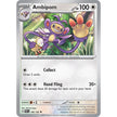 Ambipom (146/182) (PAR)