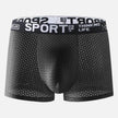 Men's Underwear Mid Waist Mesh Ice Silk Mesh SPORT Boxer Brief
