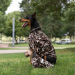 Leopard Shirt