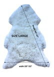 Shorn White Icelandic Sheepskin
