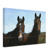 The Visit Canvas