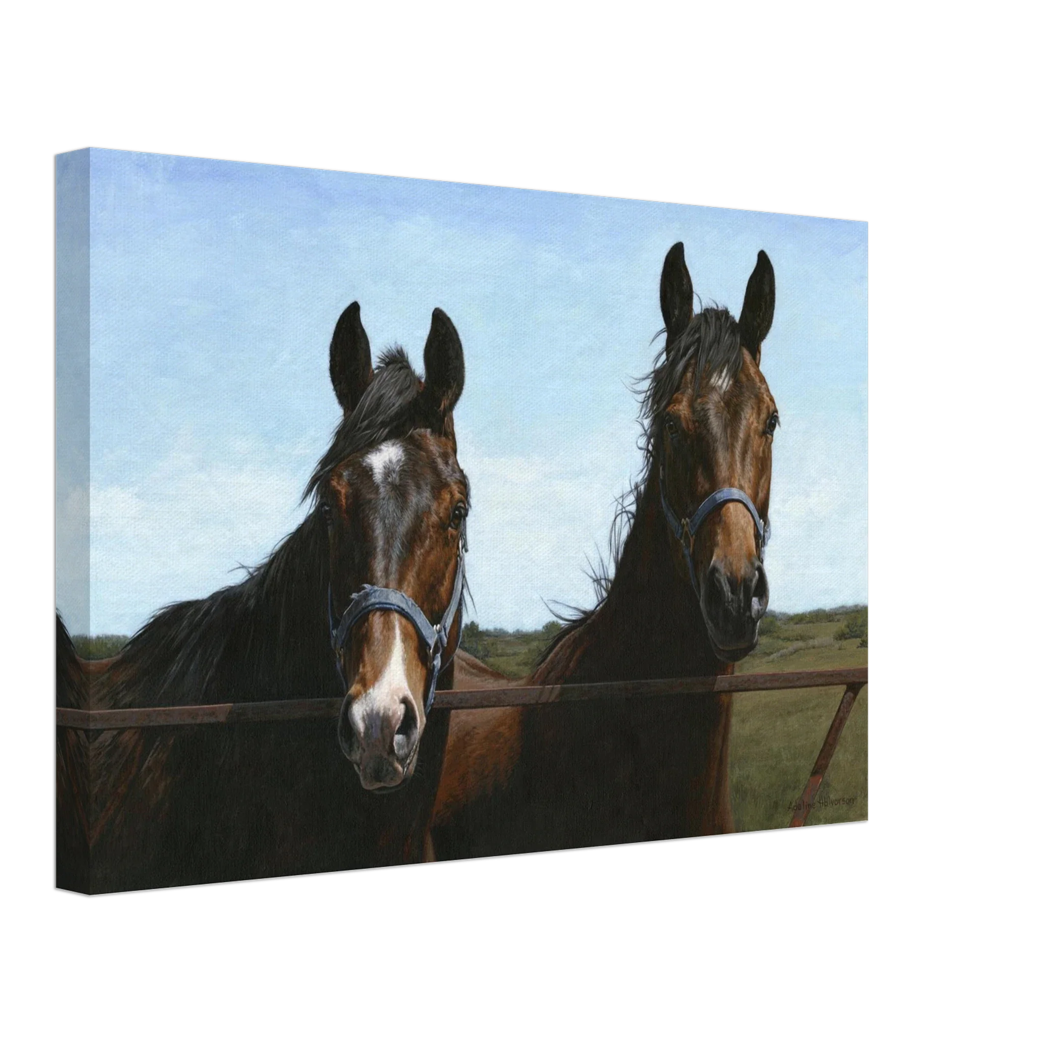 The Visit Canvas