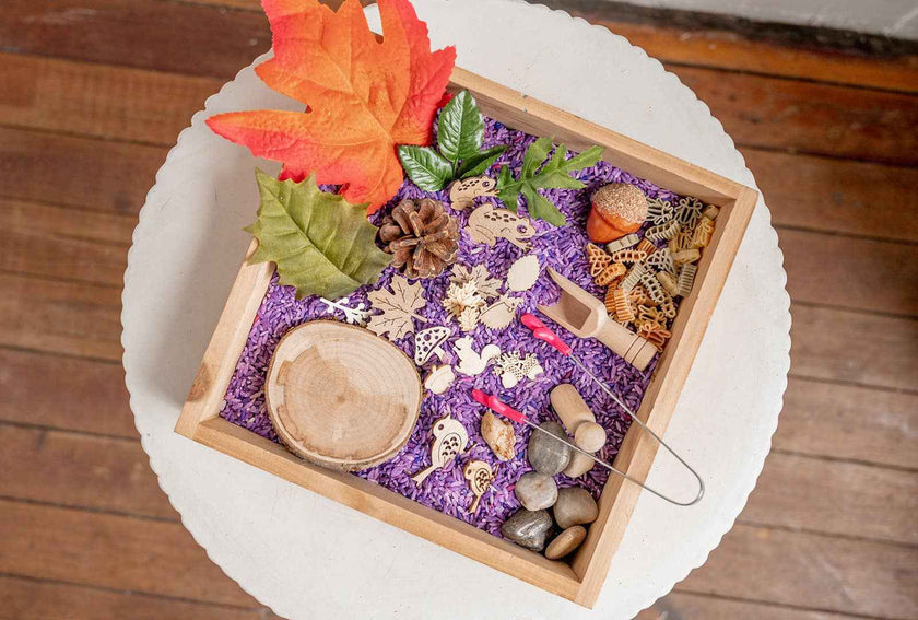 monkey bandit kids - Easy Forest & Nature Sensory Kit - Dump and Play Bag - Made in Canada