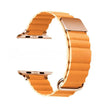 Multi-Color Magnetic Back Buckle Watch Strap