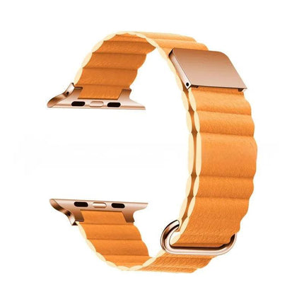 Multi-Color Magnetic Back Buckle Watch Strap