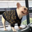 Dog Knit Sweater | Gigi Luxe Knit Sweater