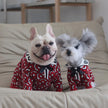 Brrbrry Classic Dog Sweater | Cozy Winter Dog Clothing