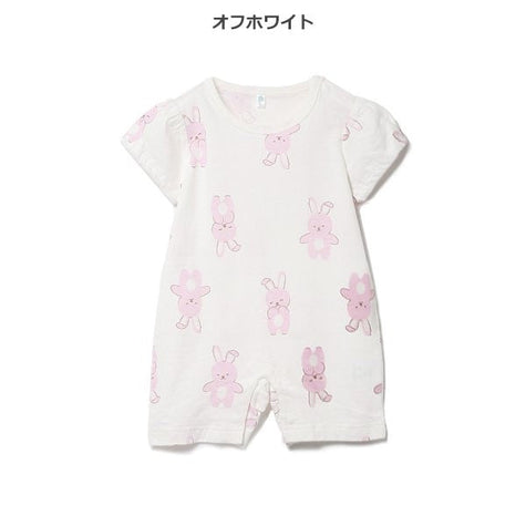 [Produit authentique Nishimatsuya] Lapin Tenjiku CA8