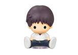 Petadoll Evangelion (1 Random Box) (Re-Ment Blind Box)