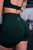 Silhouette Shorts *Mini Scrunch