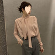 High-end Anti-wrinkle Acetate Satin pleated Blouse Shirt For Women